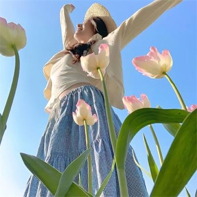 秦时明月之龙腾万里